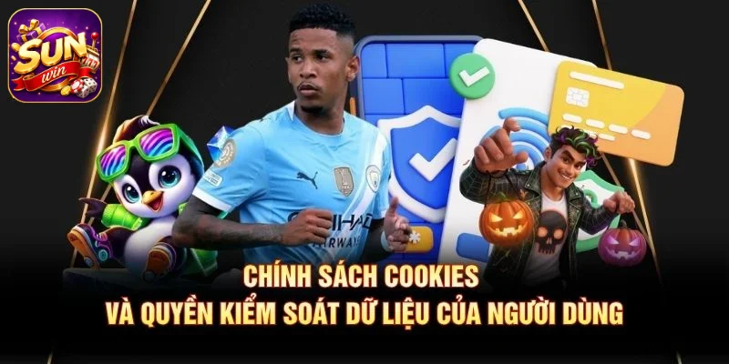 Chính sách Cookies và quyền kiểm soát dữ liệu của người dùng