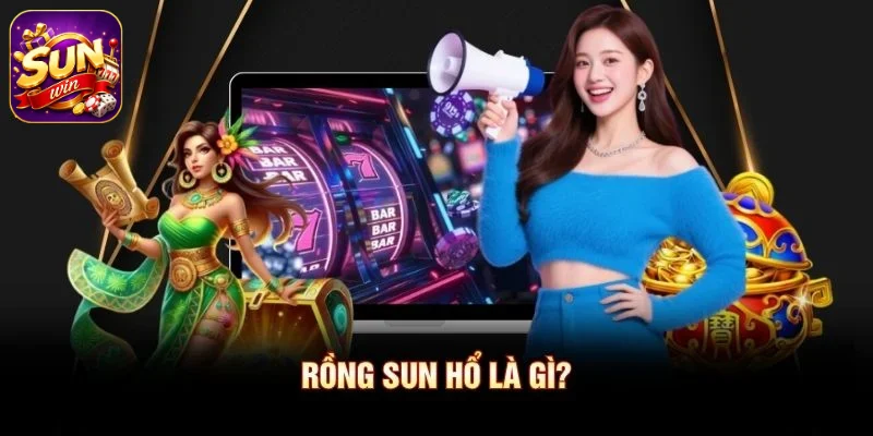 Rồng Sun Hổ là gì?